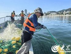 烟台游泳季拉开帷幕 三大海水浴场完成防鲨网及警戒线布设工作