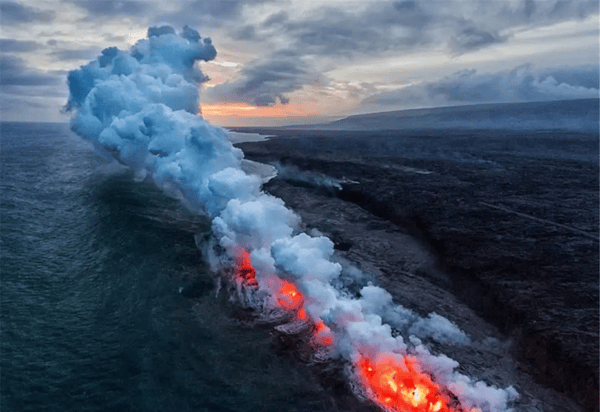 把“火山”当游泳池？地球上最耐热的动物，连科学家都想不明白