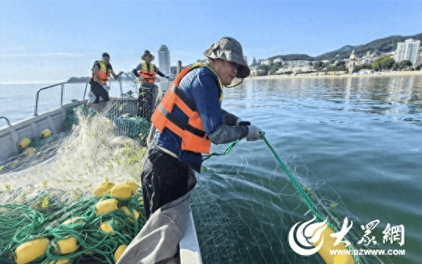 烟台游泳季拉开帷幕 三大海水浴场完成防鲨网及警戒线布设工作