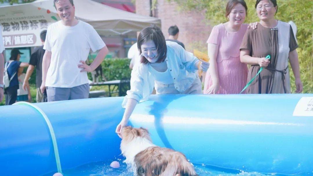 “上海之夏”来看杨浦滨江，萌犬化身“游泳健儿”