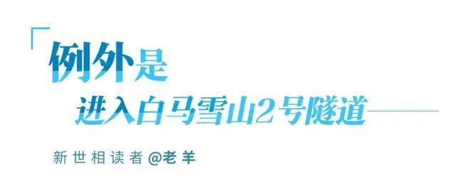 生活一潭死水，但我花样游泳 | 21种跳出常规的例外人生