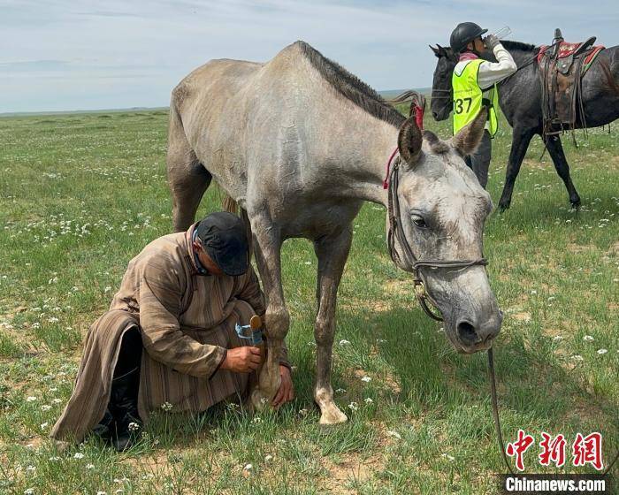 内蒙古马超联赛：体育赛事续写牧民与蒙古马的千年情谊