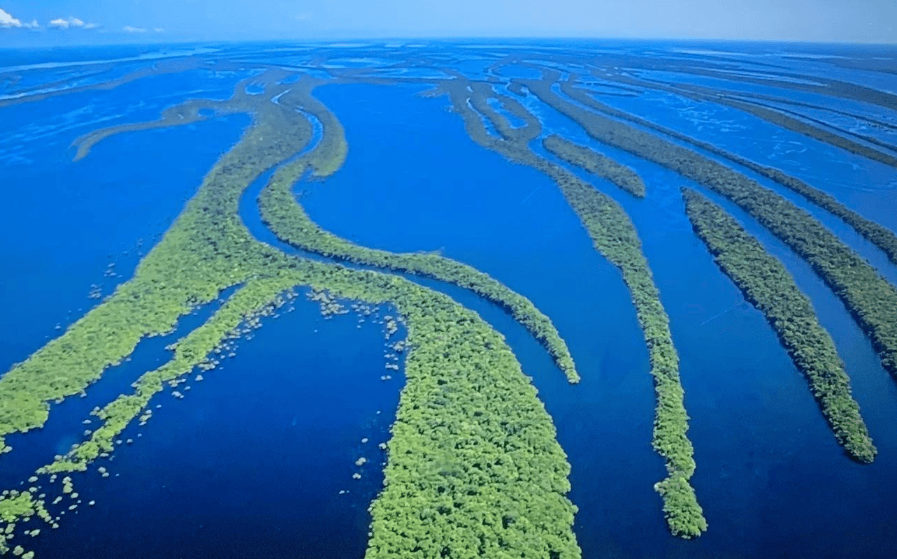 亚马逊河到底有多可怕？为什么没人敢游泳，更没有一座桥敢跨越？